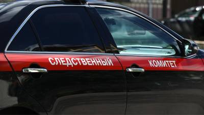 Андрей Пивоваров - СК возбудил дело в отношении экс-директора «Открытой России» - iz.ru - Краснодарский край