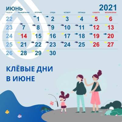 Опубликован календарь с лучшими днями для рыбалки в июне на территории Ленобласти - ivbg.ru - Ленинградская обл.