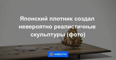 Японский плотник создал невероятно реалистичные скульптуры (фото) - news.mail.ru - Япония