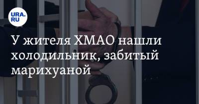 У жителя ХМАО нашли холодильник, забитый марихуаной. Фото - ura.news - Башкирия - Югра - Нижневартовск