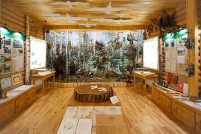 Завтра Старомайнский Музей леса откроет двери для всех желающих - ulpravda.ru