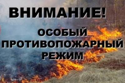 Александр Моор - Особый противопожарный режим в Тюменской области продлили до 20 июня - nakanune.ru - Тюмень - Тюменская обл.