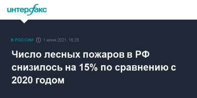 Число лесных пожаров в РФ снизилось на 15% по сравнению с 2020 годом - interfax.ru - Москва