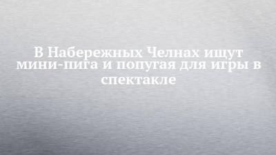 В Набережных Челнах ищут мини-пига и попугая для игры в спектакле - chelny-izvest.ru - Башкирия - Кемеровская обл. - Набережные Челны