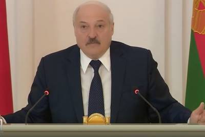 Владимир Зеленский - Петр Порошенко - Лукашенко: может мы с Путиным на той шхуне пройдём в Крым - crimea.mk.ru - Крым - Симферополь - Минск