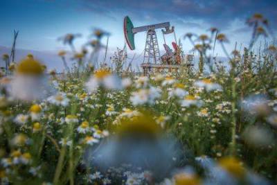 Курс на взлет - что будет с ценами на нефть этим летом? - smartmoney.one