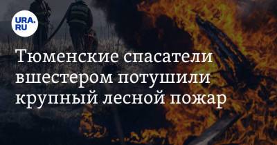 Тюменские спасатели вшестером потушили крупный лесной пожар - ura.news - Тюмень - Тюменская обл.