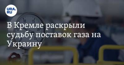 Владимир Путин - Дмитрий Песков - В Кремле раскрыли судьбу поставок газа на Украину - ura.news