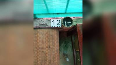 Под Воронежем при странных обстоятельствах убили 38-летнюю женщину - vestivrn.ru - Воронеж - район Рамонский