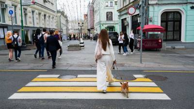 В Госдуму внесли законопроект о содержании и выгуле домашних животных - iz.ru