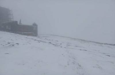 У перший день літа в Карпатах випав сніг: фото природного явища - ukrainianwall.com