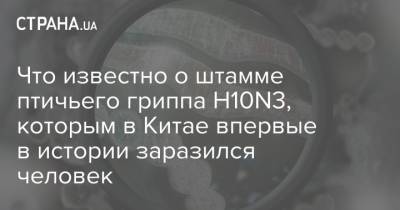 Что известно о штамме птичьего гриппа H10N3, которым в Китае впервые в истории заразился человек - strana.ua - Китай - Гонконг
