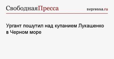 Владимир Путин - Александр Лукашенко - Иван Ургант - Ургант пошутил над купанием Лукашенко в Черном море - svpressa.ru
