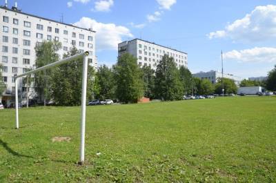 Футбольные ворота упали на ребенка в столичном районе Кунцево - vm.ru - Москва - район Кунцево