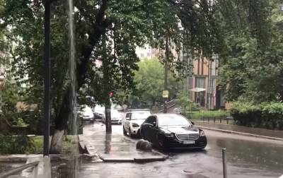 Наталка Диденко - Еще рано прятать куртки и зонты: циклон не отступает, 2 июня синоптики прогнозируют дожди и сильный ветер - ukrainianwall.com - Украина