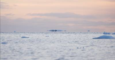 "Парящие айсберги": украинские полярники запечатлели необычное атмосферное явление (фото) - focus.ua - Антарктида - станция Академик Вернадский
