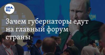 Владимир Андреев - Зачем губернаторы едут на главный форум страны - ura.news