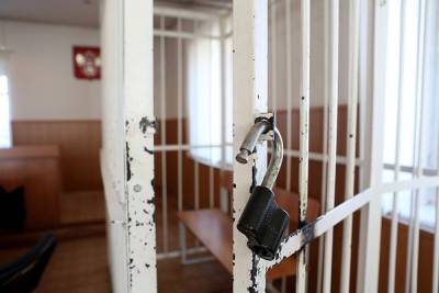 Дмитрий Гудков - Ирина Ермилова - Тетю политика Гудкова задержали по подозрению в причинении имущественного ущерба - znak.com