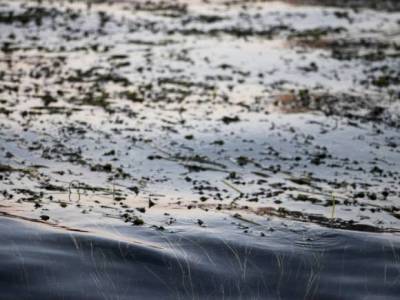 Смертельная рыбалка: в Адыгее маленький мальчик утонул в пруду при загадочных обстоятельствах - rosbalt.ru - респ. Адыгея - район Майкопский