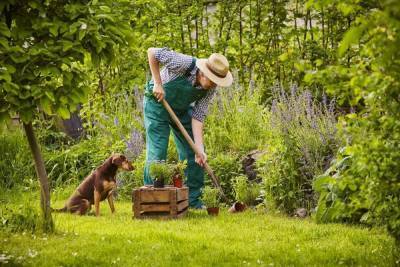 Что делать в июне – 30 самых важных дел в саду, огороде и цветнике - skuke.net