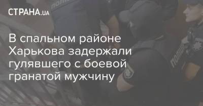 В спальном районе Харькова задержали гулявшего с боевой гранатой мужчину - strana.ua - Харьковская обл. - Харьков - район Харькова