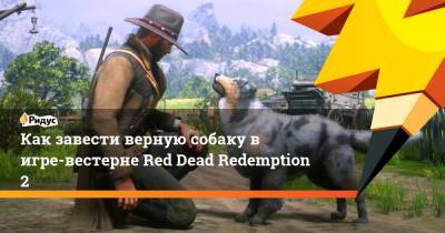 Как завести верную собаку в игре-вестерне Red Dead Redemption 2 - ridus.ru