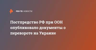Владимир Олейник - Постпредство РФ при ООН опубликовало документы о перевороте на Украине - ren.tv - Россия - Украина - Донбасс