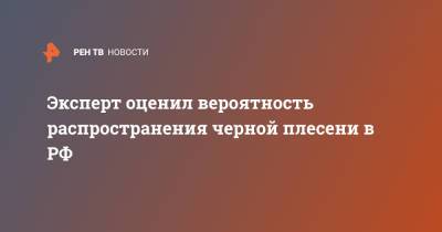 Александр Горелов - Эксперт оценил вероятность распространения черной плесени в РФ - ren.tv
