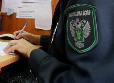 В Тверской области выявлены нарушения земельного законодательства на площади 39,4 тыс га - afanasy.biz - Тверская обл.
