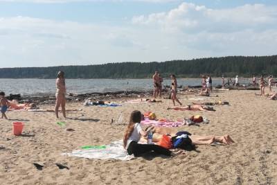 Роспотребнадзор проверил качество воды и песка на 17 пляжах в Новосибирской области - novos.mk.ru - Новосибирская обл.