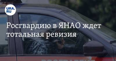 Росгвардию в ЯНАО ждет тотальная ревизия - ura.news - окр. Янао - окр. Уральский