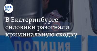 В Екатеринбурге силовики разогнали криминальную сходку. Задержан авторитет - ura.news - Екатеринбург