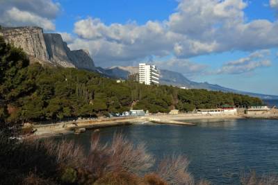 Всё, что происходило в Форосском парке, зафиксировано - Нараев - crimea.mk.ru