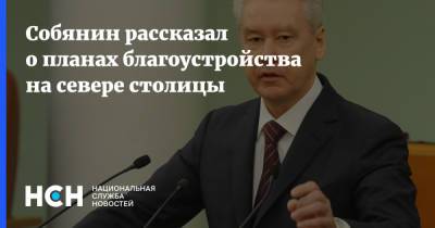 Сергей Собянин - Собянин рассказал о планах благоустройства на севере столицы - nsn.fm - Москва
