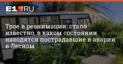 Трое в реанимации: стало известно, в каком состоянии находятся пострадавшие в аварии в Лесном - e1.ru - Екатеринбург