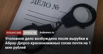 Уголовное дело возбуждено после вырубки в Абрау-Дюрсо краснокнижных сосен почти на 1 млн рублей - kubnews.ru - Краснодарский край - р-н Приморский - Новороссийск