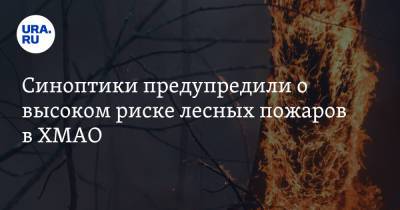 Синоптики предупредили о высоком риске лесных пожаров в ХМАО - ura.news - Югра