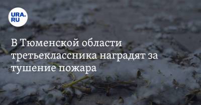 В Тюменской области третьеклассника наградят за тушение пожара - ura.news - Тюменская обл.
