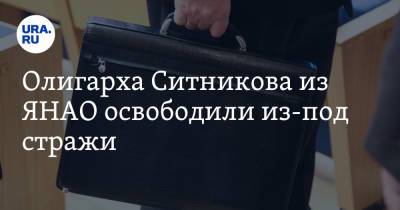Олигарха Ситникова из ЯНАО освободили из-под стражи - ura.news - окр. Янао