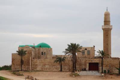 Семь жителей Герцлии подозреваются в избиении араба из Тайбе - news.israelinfo.co.il