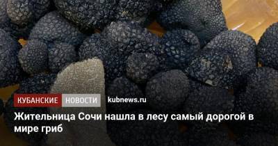 Жительница Сочи нашла в лесу самый дорогой в мире гриб - kubnews.ru - Сочи - Краснодарский край