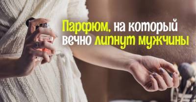 Мне пшикнули духи «Нарциссо Родригес» на запястье, и через пять минут уже подошел знакомиться паренек у торгового центра - skuke.net - Россия