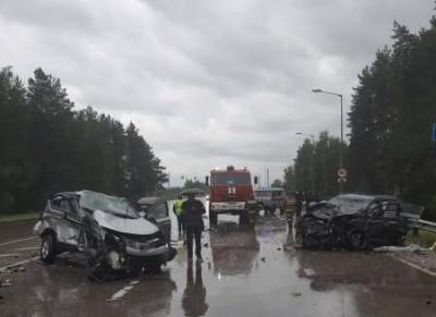 В смертельном ДТП под Рязанью пострадал двухлетний ребенок - 7info.ru - Рязань - район Рязанский