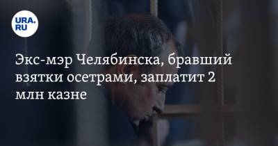 Экс-мэр Челябинска, бравший взятки осетрами, заплатит 2 млн казне - ura.news - Челябинская обл. - Челябинск - Копейск
