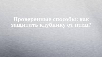 Проверенные способы: как защитить клубнику от птиц? - chelny-izvest.ru