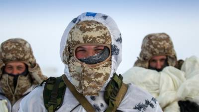 Греческий политолог назвал основную цель маневров НАТО Arctic Challenge - newinform.com - Норвегия - Финляндия - Греция - Арктика
