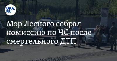 Мэр Лесного собрал комиссию по ЧС после смертельного ДТП - ura.news