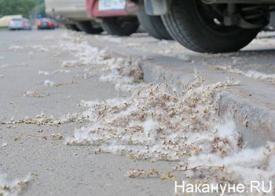 В Тюменской области наградят школьника, который помогал тушить пожар - nakanune.ru - Тюменская обл.