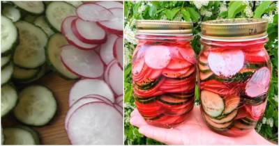 Сезонная закуска из редиса с огурцом. Оригинальный, насыщенный вкус многим придется по душе - skuke.net