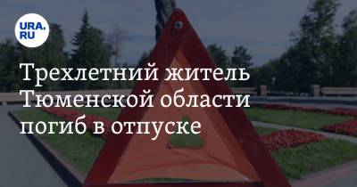 Трехлетний житель Тюменской области погиб в отпуске - ura.news - Краснодарский край - Тюмень - Тюменская обл. - Геленджик